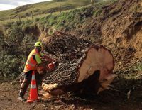 Clearing fallen trees from roadside, Waimarama