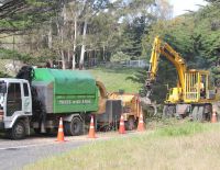 Cleaning up after felling a stand of Macrocarpa in Kahuranaki Road, May 2012