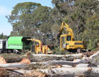 Chatham Road Gums March 2014