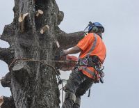 Dismantle of Large Mac Bluff HIll 1